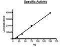 PARP10, FLAG-Strep-Tag Recombinant – Figure 1 of 2