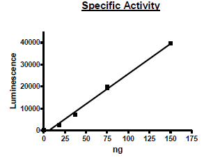 PARP10, FLAG-Strep-Tag Recombinant – Figure 1 of 2