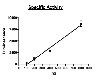 PARP7, FLAG-Tag Recombinant – Figure 1 of 2