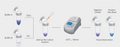 MycAway -Color One-Step Mycoplasma Detection Kit UNG Plus