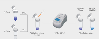 MycAway -Color One-Step Mycoplasma Detection Kit UNG Plus