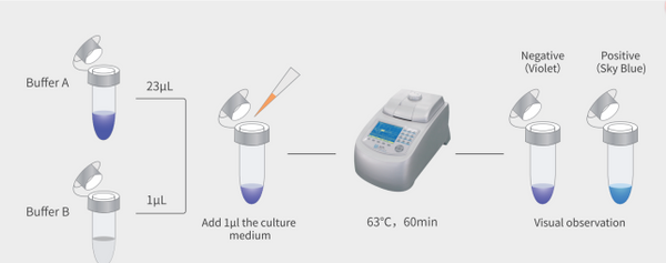MycAway -Color One-Step Mycoplasma Detection Kit UNG Plus