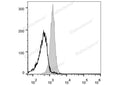 PE Anti-Mouse CD48 Antibody[HM48-1] – Figure 1 of 2