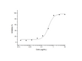 Recombinant Mouse GHR/GHBP Protein (His & Fc Tag) - Figure 1 of 2