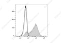 Elab Fluor® 488 Anti-Mouse CD326/EpCAM Antibody[G8.8] – Figure 3 of 5