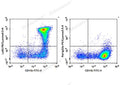PE/Cyanine5.5 Anti-Mouse Ly6G Antibody[1A8] – Figure 1 of 2