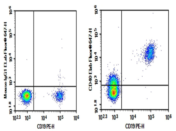 Purified Anti-Human CD40 Antibody[G28.5] – Figure 1 of 2