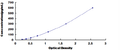 Human Kallikrein 1 (KLK1) ELISA Kit — standard curve, 9.37–600 pg/mL
