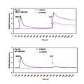 TRPC7-HEK293 Recombinant Cell Line – Figure 1 of 1