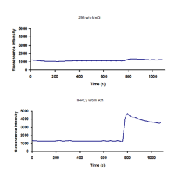TRPC3-HEK293 Recombinant Cell Line – Figure 1 of 2