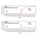 TRPM2-HEK293 Recombinant Cell Line – Figure 1 of 2