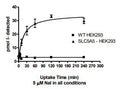 SLC5A5 - HEK293 Recombinant Cell line – Figure 1 of 4