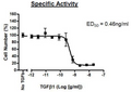 TGFβ1 Recombinant – Figure 1 of 1