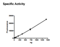 NAMPT (PBEF1), GST-tag Recombinant – Figure 1 of 2