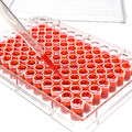 96 Well Cell Culture Plate, Flat-Bottom, Clear, Sterile