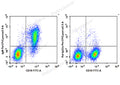 PerCP/Cyanine5.5 Anti-Mouse IgM Antibody[RMM-1] – Figure 1 of 2