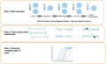 Figure 1. Workflow of mycoplasma detection using the Mycoplasma Real-time Quantitative PCR Detection Kit