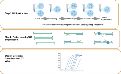 Figure 1. Workflow of mycoplasma detection using the Mycoplasma Real-time Quantitative PCR Detection Kit