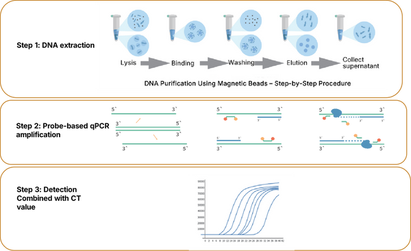 Figure 1. Workflow of mycoplasma detection using the Mycoplasma Real-time Quantitative PCR Detection Kit
