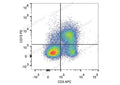 PE Anti-Mouse CD73 Antibody[TY/23] – Figure 1 of 2