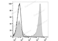 FITC Anti-Mouse CD90 Antibody[M5/49.4.1] – Figure 1 of 2