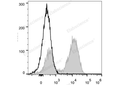 PerCP Anti-Mouse CD45R/B220 Antibody[RA3.3A 1/6.1] – Figure 1 of 2