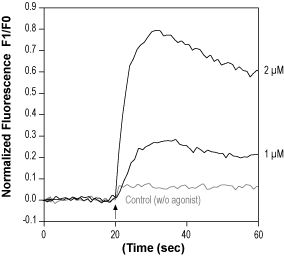 AM 404 – Figure 1 of 2