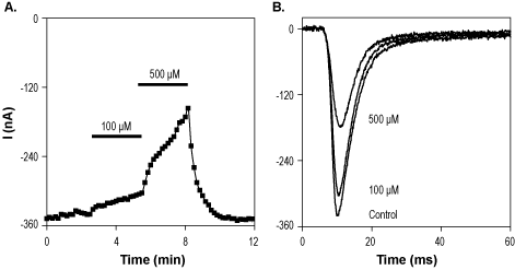 α-Asarone – Figure 1 of 2