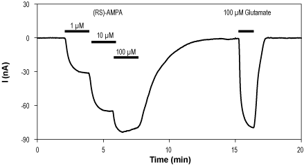 (RS)-AMPA – Figure 1 of 2