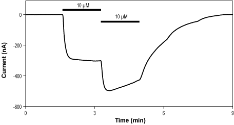 (S)-AMPA – Figure 1 of 2