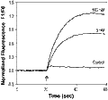 Arvanil – Figure 1 of 2