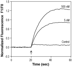Arvanil – Figure 1 of 2