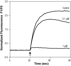 A 784168 – Figure 1 of 2