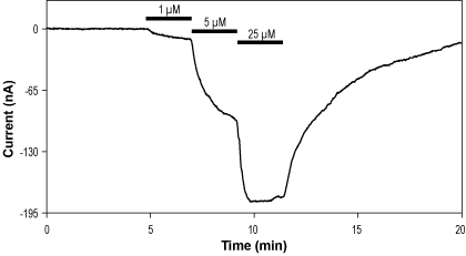 AA 29504 – Figure 1 of 2