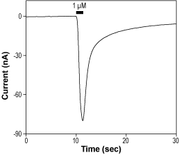 ATPA – Figure 1 of 2
