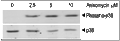 Anisomycin – Figure 1 of 2