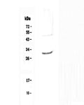 Anti-IL27 Antibody Picoband®