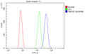 Anti-BAFF/TNFSF13B Antibody Picoband®