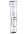 Fig. Anti-Myc Tag Mouse Monoclonal Antibody, Agarose are convenient for the immunoprecipitation (IP) of recombinant Myc tagged proteins.