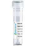 Fig. Anti-V5 Tag Mouse Monoclonal Antibody, Agarose are convenient for the immunoprecipitation (IP) of recombinant V5 tagged proteins.