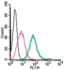 Anti-Adenosine A2A Receptor (extracellular)-FITC Antibody