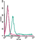 Anti-Human Adenosine A2A Receptor (extracellular)-FITC Antibody