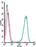 Anti-Adenosine A2A Receptor (extracellular)-PE Antibody