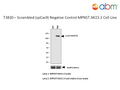 Scrambled (spCas9) Negative Control MPNST JW23.3 Cell Line | Applied Biological Materials (abm)
