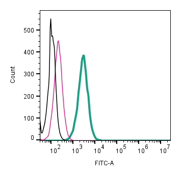 Anti-Adenosine A1 Receptor (extracellular)-FITC Antibody