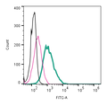 Anti-α1A-Adrenergic Receptor (extracellular)-FITC Antibody