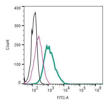 Anti-α1A-Adrenergic Receptor (extracellular)-FITC Antibody