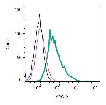 Anti-β2-Adrenergic Receptor (extracellular)-APC Antibody