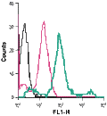 Anti-β2-Adrenergic Receptor (extracellular)-FITC Antibody