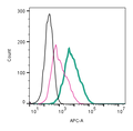 Anti-β1-Adrenergic Receptor (extracellular)-APC Antibody